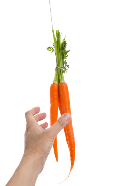 Dangling carrot - Photo, Image