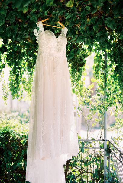 White wedding dress hangs on a wooden hanger on a tree among green foliage. High quality photo - Photo, Image