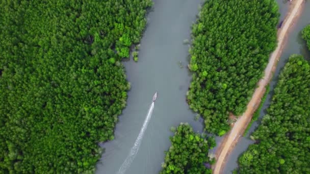Aerial view of a Thai traditional longtail boat sailing in Phang Nga Bay among the fertile mangrove forests of the Andaman Sea, Thailand. Samet Nangshe - Materiaali, video