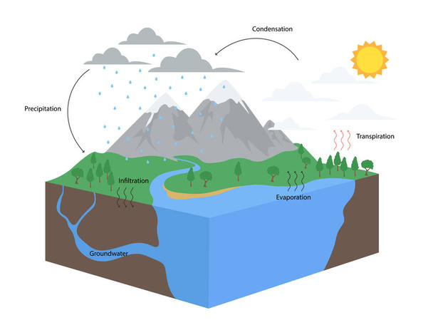 Diagram of Water Cycle in nature illustration - Vektor, obrázek