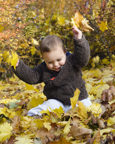 gyermek az őszi levelek - Fotó, kép