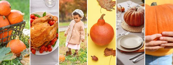 Collage for Thanksgiving Day celebration with pumpkins - Photo, Image