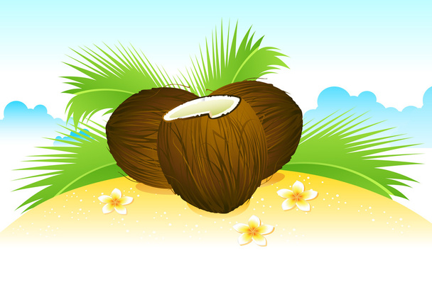 кокос на пляже
 - Вектор,изображение