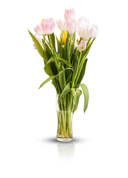 Bunch of pink and yellow tulips in a glass vase, isolated. Bouquet of beautiful light pastel color flowers on white background, vertical view. - Photo, image