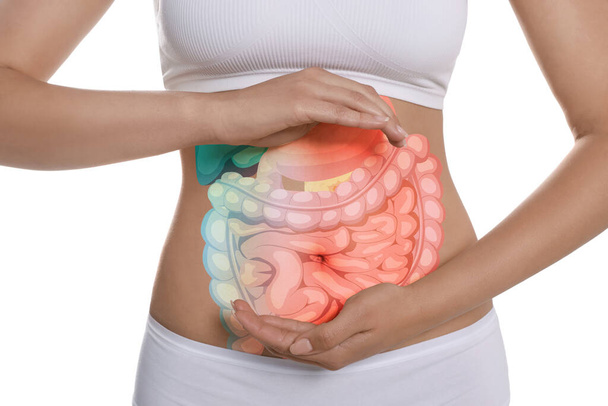 Closeup view of woman with illustration of abdominal organs on her belly against white background - Foto, Bild