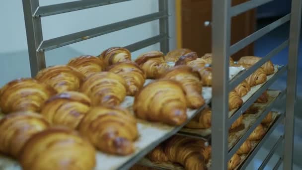 Süteményt, croissant-t, puffancsot. Élelmiszeripar, cukrászda, pékség. Knead, dobd ki a tésztát egy nagy produkciónál. Kiváló minőségű 4k felvételek - Felvétel, videó