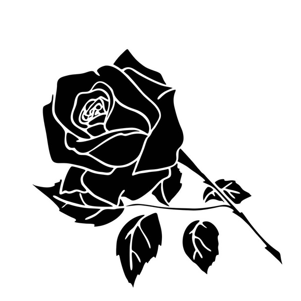 schwarze Silhouette einer Rose in Nahaufnahme auf weißem Hintergrund, Silhouette einer Blume, grafische Zeichnung, Design - Foto, Bild