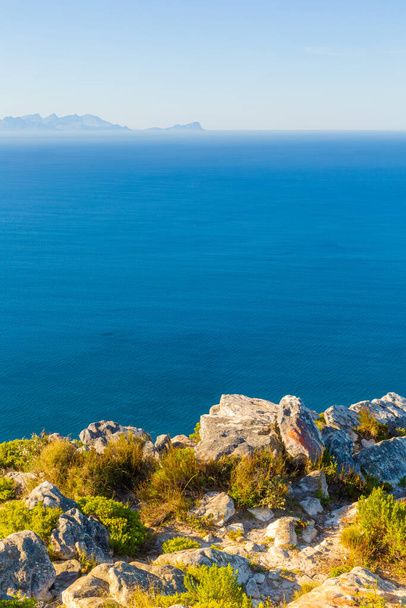 Coastal mountain landscape with fynbos flora in Cape Town, South Africa - 写真・画像