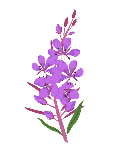 Blooming sally in cartoon style. Beautiful wildflower. - Vector, Imagen
