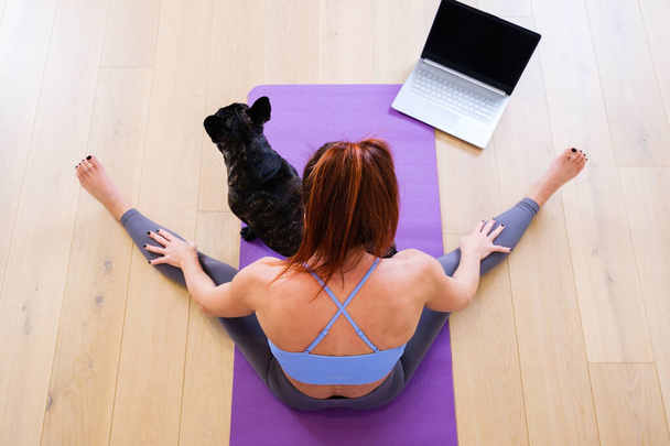 Вид зверху підходить для спортивної здорової жінки сидить на килимку, роблячи наступні вправи, спостерігаючи онлайн-клас йоги на ноутбуці. Його мопс собака тримає компанію біля підлоги
 - Фото, зображення