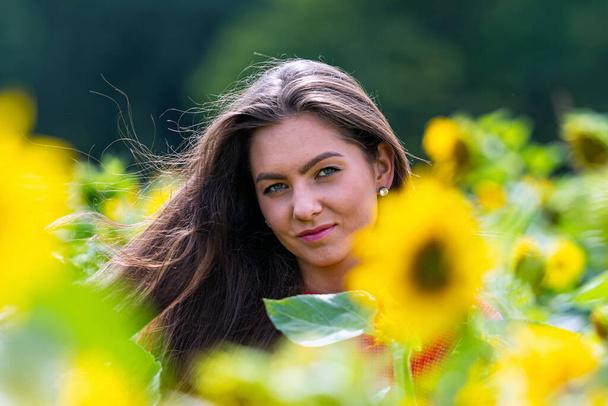 beautiful sweet sexy woaman in a red  sweater in a field of sunflowers at sunny day - Photo, Image