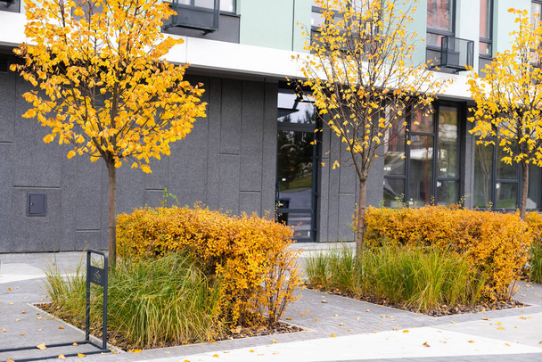 apartman épület komplexum őszi szezonban színes őszi levelek - Fotó, kép