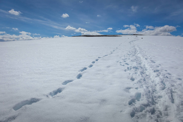 Snowcapped mountain with alpinist footprints in Jotunheimen, Norway, Scandinavia - Foto, imagen