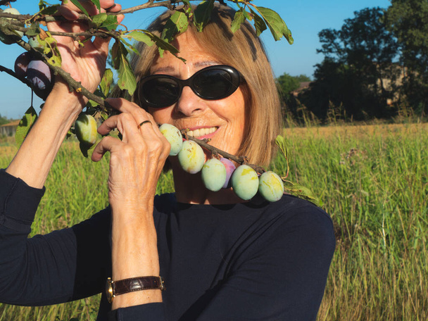 elegantti nainen poiminta luumut ja persikat maatilalla kesällä - Valokuva, kuva