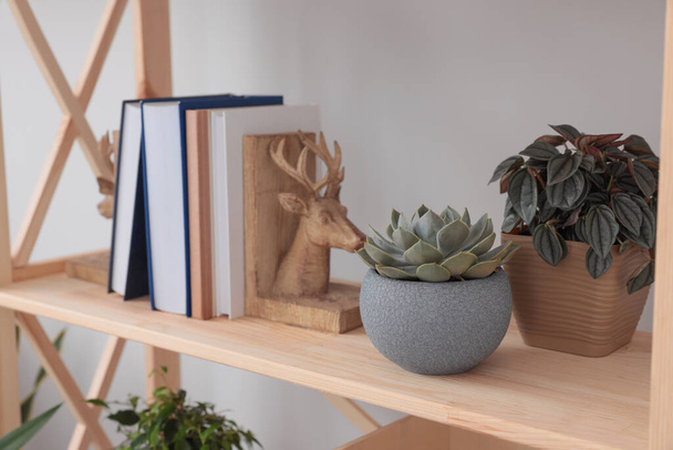 Beautiful houseplants and books on wooden shelving unit near light wall - Foto, afbeelding