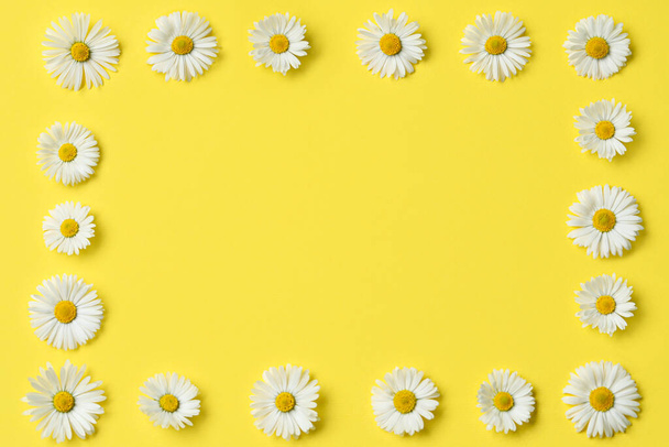 Frame of daisy flowers on yellow background, flat lay. Space for text - Фото, изображение