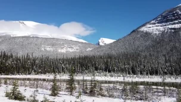 Banff Alberta Canada scenes - Materiał filmowy, wideo