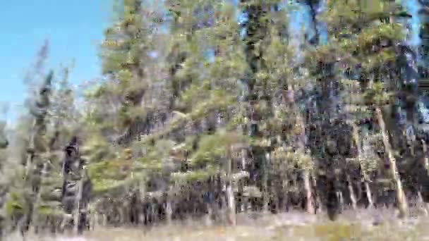 Banff Albert Canada scenes - Filmmaterial, Video