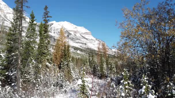 Banff Albert Canada scenes - Video