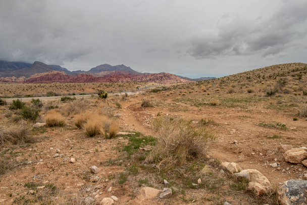 тропа и дорога в пустыне в Red Rock Canyon National Conservation Area в Лас-Вегасе, Невада - Фото, изображение