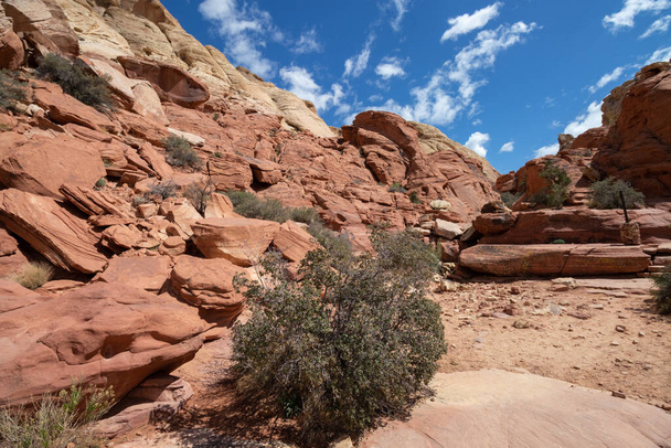 Слои пород песчаника в заповедной зоне Red Rock Canyon National Conservation Area в Лас-Вегасе, Невада - Фото, изображение