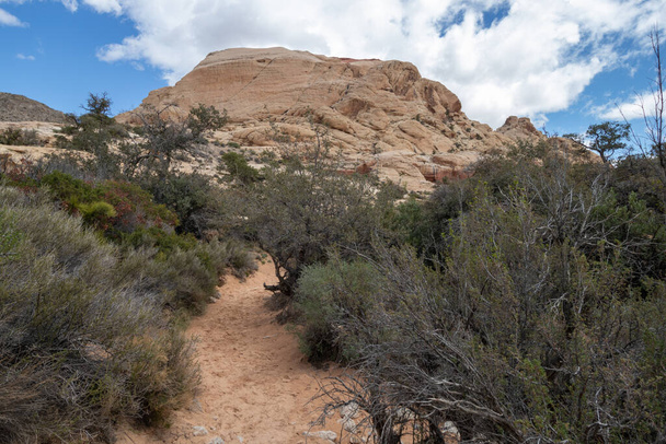 туристическая тропа в национальном заповеднике Red Rock Canyon National Conservation Area в Лас-Вегасе, Невада - Фото, изображение