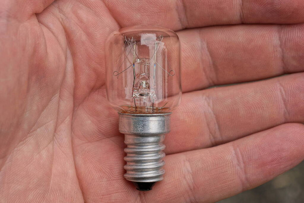 one small gray glass light bulb lies on the palm of the hand - Foto, Imagen