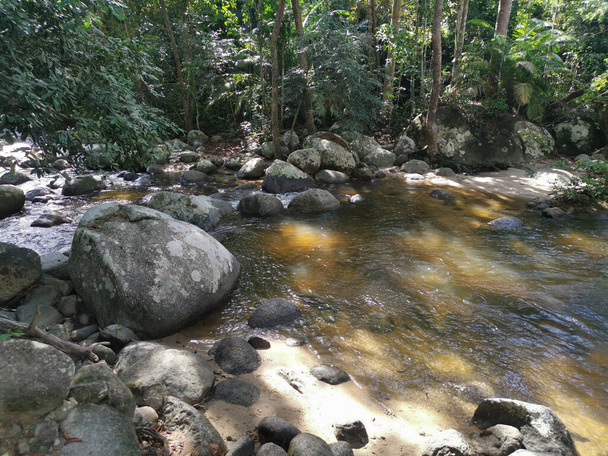 rocky flowing river stream in the jungle - Foto, Imagen