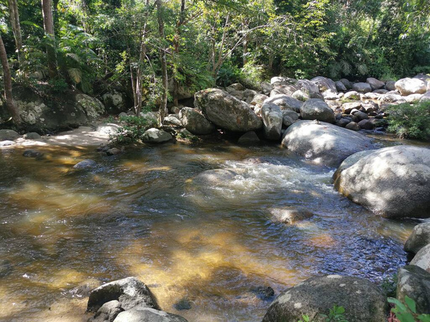 rocky flowing river stream in the jungle - Foto, Imagem