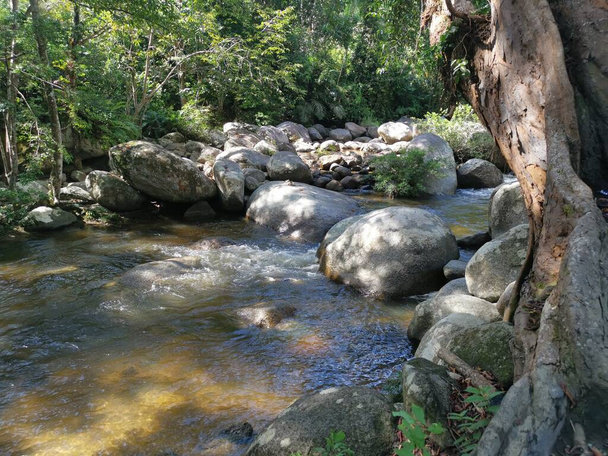 rocky flowing river stream in the jungle - Photo, image