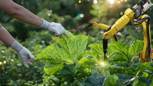 Agriculture futuristic. Pollinate of vegetables with robot automation. Detection spray chemical. Leaf analysis and foliar fertilization. Eliminate pests and provide essential nutrients to plants. - Foto, Imagem