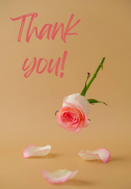 THANK YOU text Flying Delicate pink rose on beige background. Minimal trendy composition. Romantic pastel levitating pink rose flower. Neutral earth tones. Greeting card background Vertical - Zdjęcie, obraz
