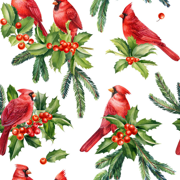 Бесшовный узор с красными кардинальными птицами, листьями и ягодами падуба, еловыми ветвями, рисованной вручную акварелью. Высокое качество иллюстрации - Фото, изображение