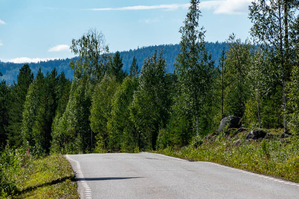 Umea, Sweden A small country road in northern Sweden. - Photo, image