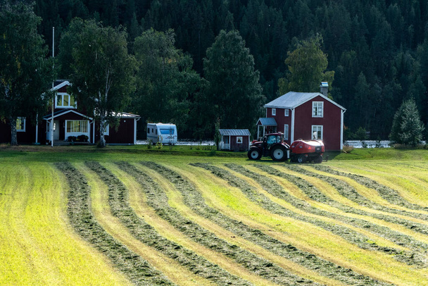 Umea, Sweden A tractor plows a field to make hay bales. - Zdjęcie, obraz