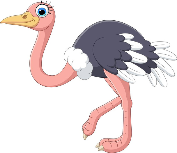Vector illustration of Cartoon ostrich on white background - Vektor, obrázek