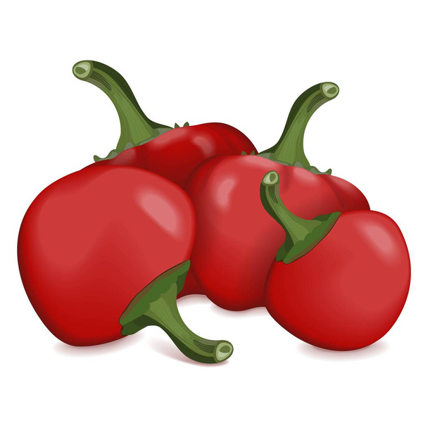 Group of Cherry Pepper for banners, flyers, posters, social media. Pimento or Pimiento. Capsicum annuum. Fresh organic and healthy vegetables. Vector illustration isolated on white background. - Wektor, obraz