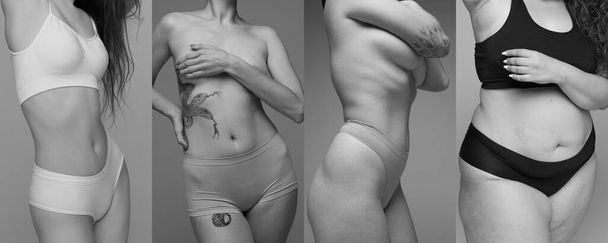 Collage. Black and white photography. Cropped female bodies in underwear. Different sizes. Body-positivity. self-love, acceptance. Concept of femininity, beaty, body and skin care, figure - Fotó, kép