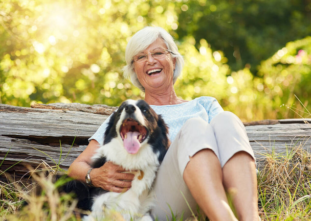 Some angels have fur instead of wings. Portrait of a happy senior woman relaxing in a park with her dog - Foto, afbeelding