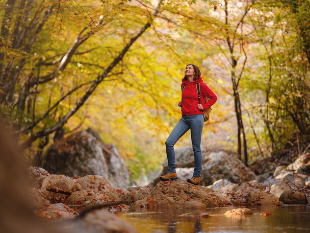 Travel and road trip concept at autumn. Adventure and active lifestyle in nature. Tourist hiking in forest. Asian woman in red hoodie walks in forest. Wanderlust concept. - Foto, imagen