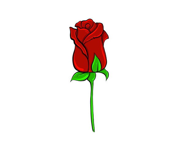 Beautiful red rose with white background vector illustration 3d drawing closeup of a flower bouquet plants calentine - Vektori, kuva