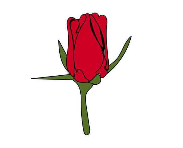 Красивая красная роза с белым фоном векторная иллюстрация 3d рисование крупным планом цветочный букет растений calentine - Вектор,изображение