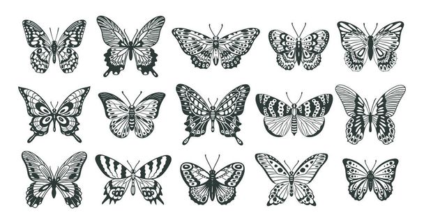 Butterfly silhouette, cartoon outline insect, sketch flying butterflies. Stencil tattoo butterfly silhouettes, hand drawn butterfly sketch vector symbols illustrations - Wektor, obraz