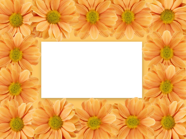 Flower Whiteboard and space empty text - Photo, image