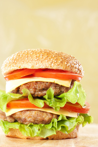 doppio cheeseburger
 - Foto, immagini
