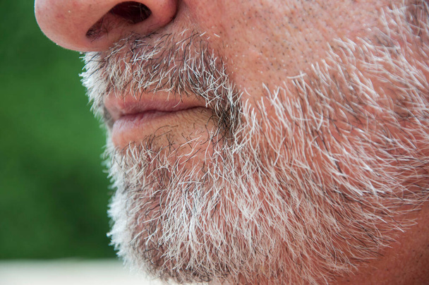 hoary hair beard of old man, cropped view. - Photo, Image