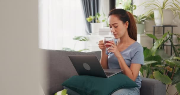 Üniversiteli genç bir kadın kanepede günlük kıyafet giyer çay içer, dizüstü bilgisayar kullanır, rahatlar evde salonda bitkilerle dolu bir yer olduğunu düşünür. Evde kalıp çevrimiçi öğrenme, ev kavramından çalışma. - Video, Çekim