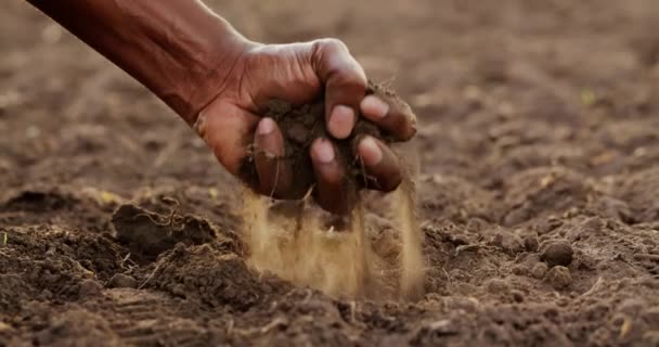 Close-up of male hands touching dry land in an agricultural field, soil, cultivated dirt, earth, Ecological texture. Dirt on the field - Imágenes, Vídeo