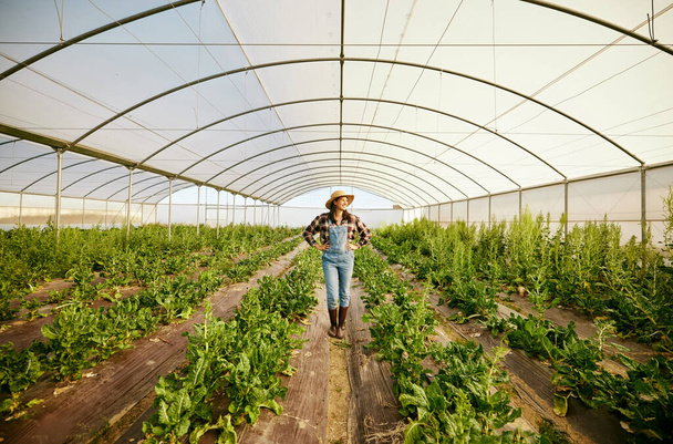 Farmer, greenhouse and happy agriculture woman in eco friendly business for environmental health. Carbon capture career and food sustainability industry for green lifestyle, growth and innovation - Foto, Imagem