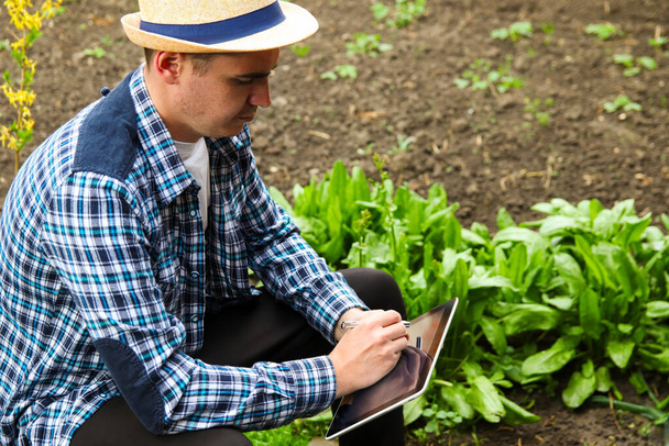 Defocus farmer man read or analysis a report in tablet computer on a agriculture field, agriculture concept. Young agronomy worker on the field. Out of focus. - Foto, immagini